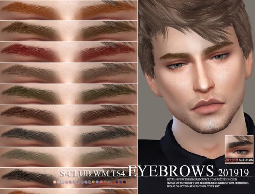 S-Club WM ts4 Eyebrows 201919