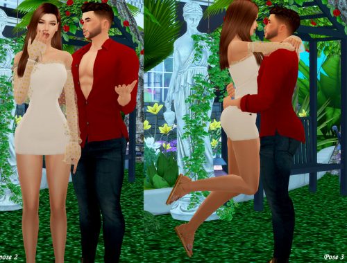 S y N - Pose Pack