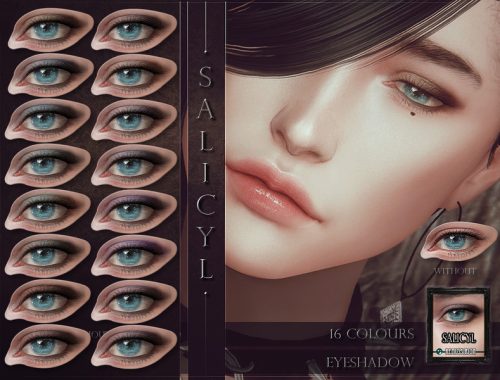 Salicyl Eyeshadow