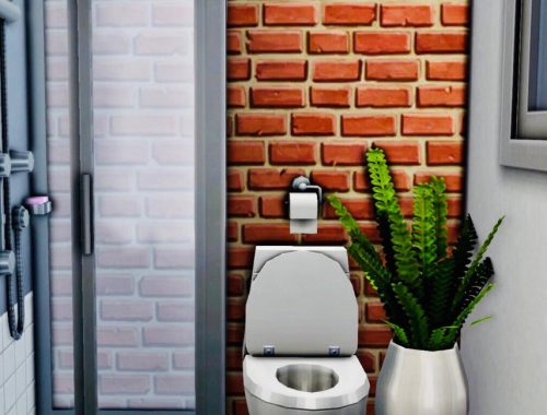 San Myshuno Starter