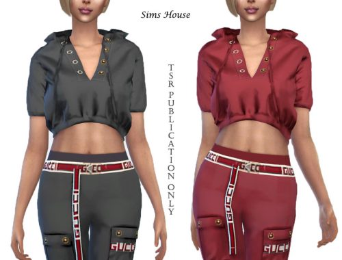 Satin crop top with a hood