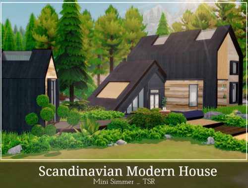 Scandinavian Modern House