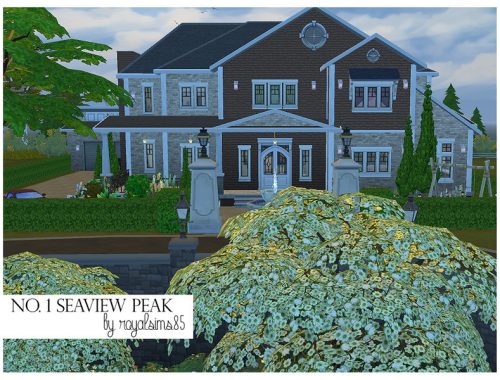 Seaview Peak Large Family Home