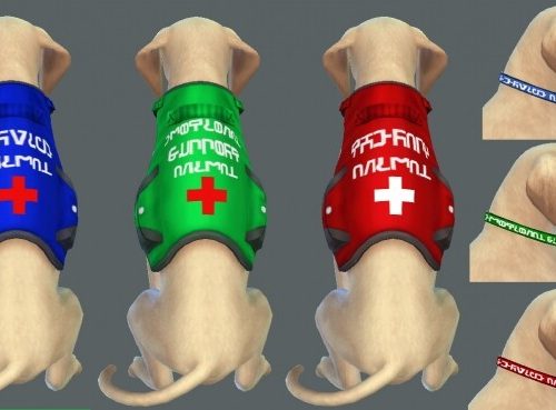 Service Animal Accessories