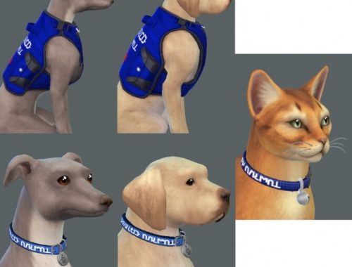 Service Animal Accessories