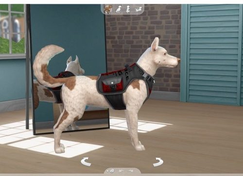 Service dog vest by Dayh111 at Mod The Sims