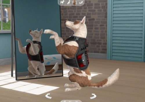 Service dog vest by Dayh111 at Mod The Sims