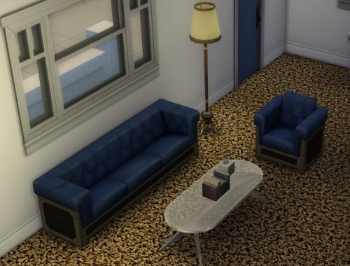 Shag Carpet
