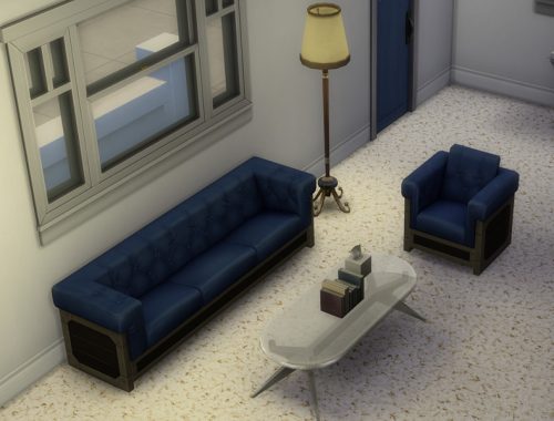 Shag Carpet
