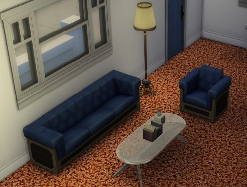 Shag Carpet