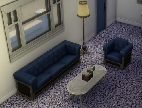 Shag Carpet