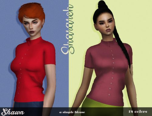 Shawn blouse