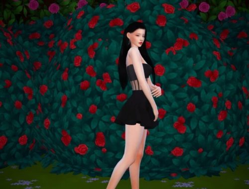 Sheer cut out Skater Dress at Mochachiii
