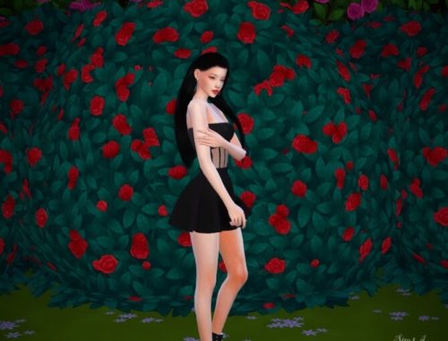 Sheer cut out Skater Dress at Mochachiii