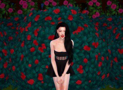 Sheer cut out Skater Dress at Mochachiii