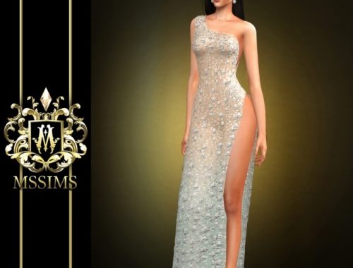 SHINING DRESS (P) at MSSIMS