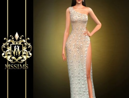 SHINING DRESS (P) at MSSIMS