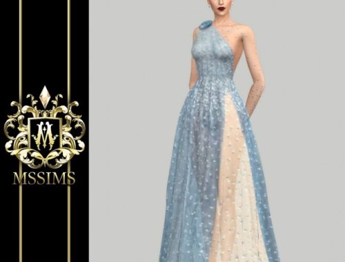 SHINING TULLE GOWN (P) at MSSIMS