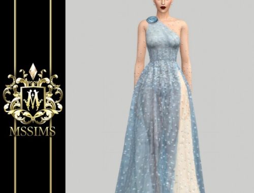 SHINING TULLE GOWN (P) at MSSIMS