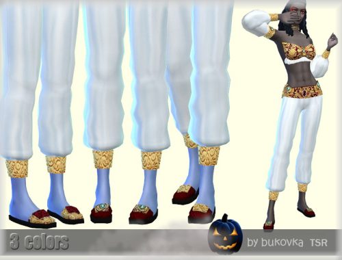 Shoes Genie