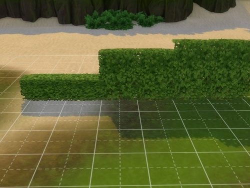 Short Hedge by skinyafter5 at Mod The Sims