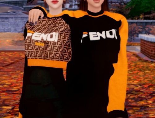 Short Sweatshirt & Tight Dress at RIMINGs