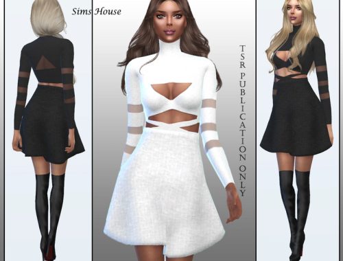 Short women's dress with transparent inserts on the sleeves