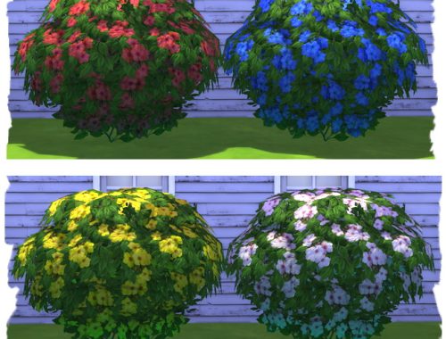 Shrubs with flowers by Chalipo at All 4 Sims