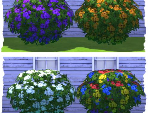 Shrubs with flowers by Chalipo at All 4 Sims