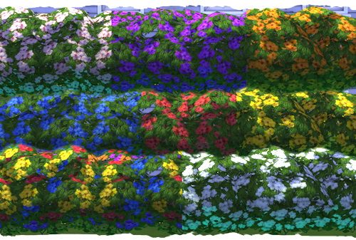Shrubs with flowers by Chalipo at All 4 Sims