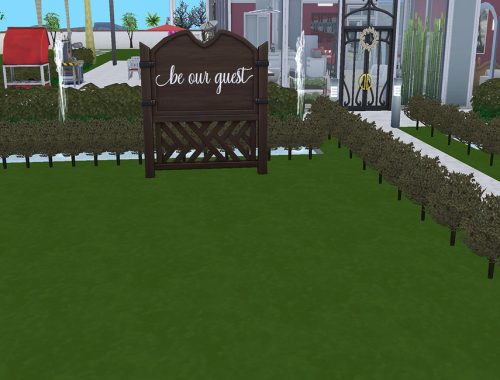 Signs of Fun - Cats and Dogs Required