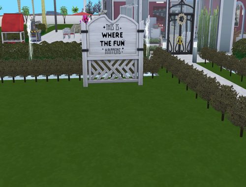 Signs of Fun - Cats and Dogs Required