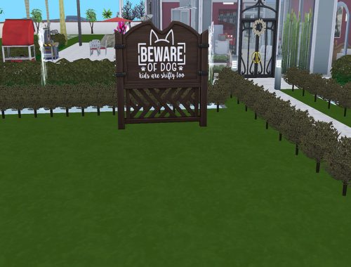 Signs of Fun - Cats and Dogs Required