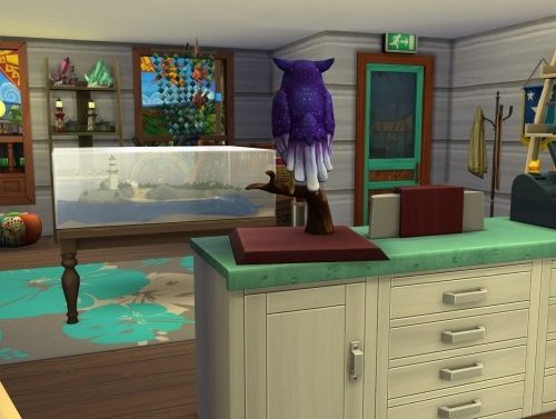 Sim Jim Surf and Curio CC Free by kiimy_2_Sweet at Mod The Sims