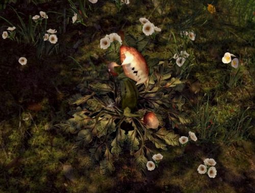 Simblreen 2019 set (part 1) at Blue Ancolia