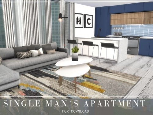 SINGLE MAN´S APARTMENT at Dinha Gamer