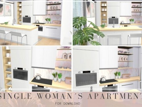 SINGLE WOMAN´S APARTMENT at Dinha Gamer