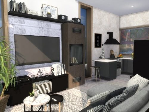 SINGLE YOUNG MALE HOUSE