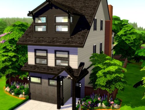 Skinny House| Base Game