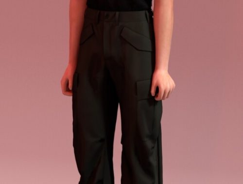 Slim Fit T-Shirts & M-65 Field Pants at Rona Sims