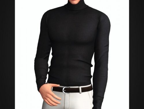 Slim Fit Turtleneck for males at Gorilla