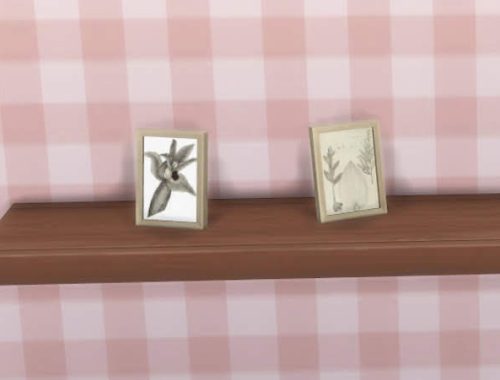Small botanical drawings at KyriaT’s Sims 4 World