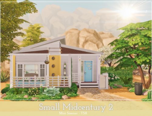 Small Midcentury 2