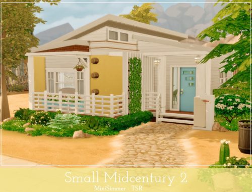 Small Midcentury 2