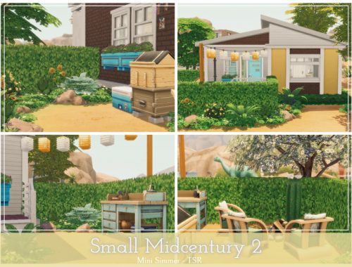 Small Midcentury 2