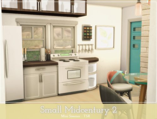 Small Midcentury 2