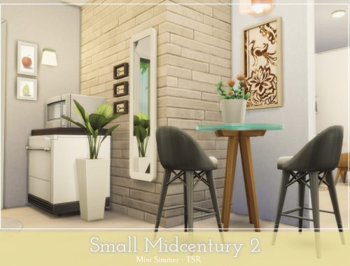 Small Midcentury 2