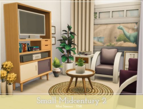 Small Midcentury 2