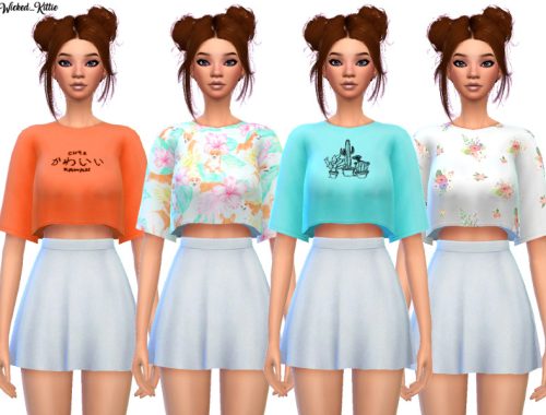 Snazzy Cropped Tees- Mesh Needed