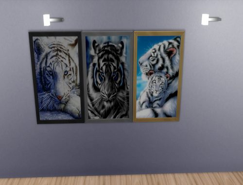Snow tiger Pictures